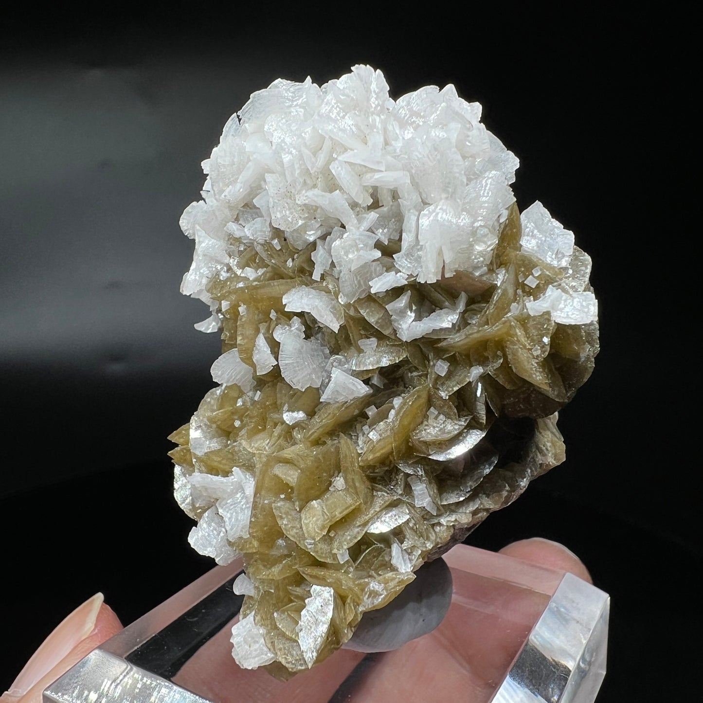 Siderite + Dolomite (Free shipping)