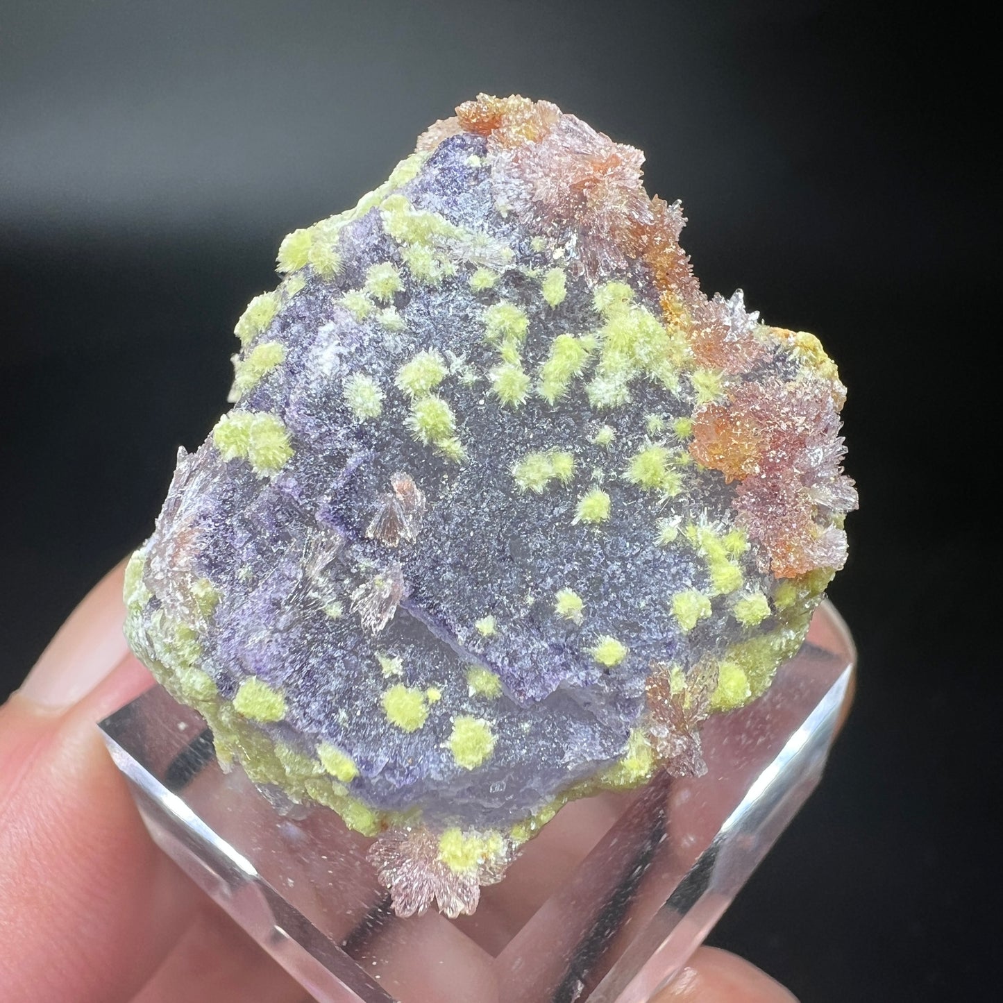 Carlhintzeite + Creedite (Free shipping)