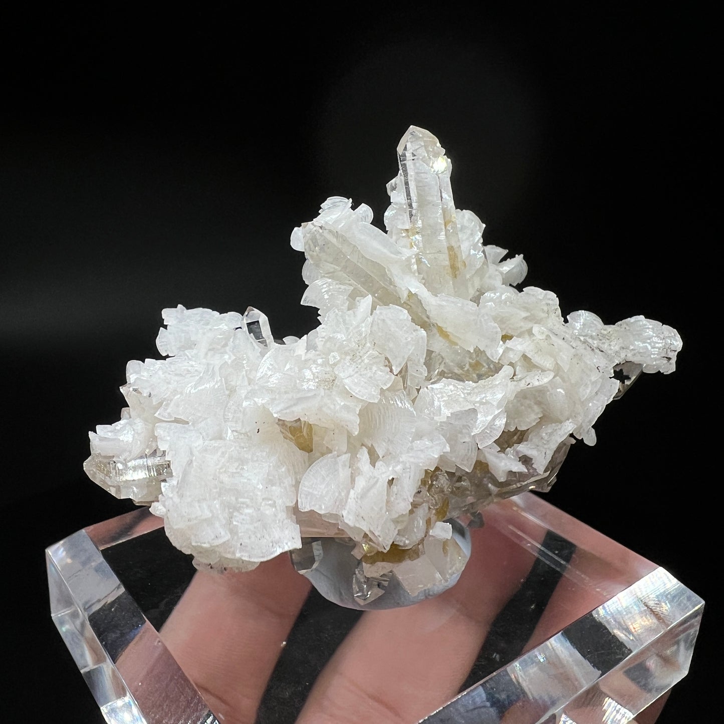 Dolomite + Quartz + Siderite (Free shipping)