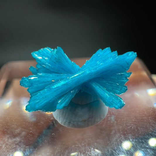 Floaters bow Cavansite (Free shipping)