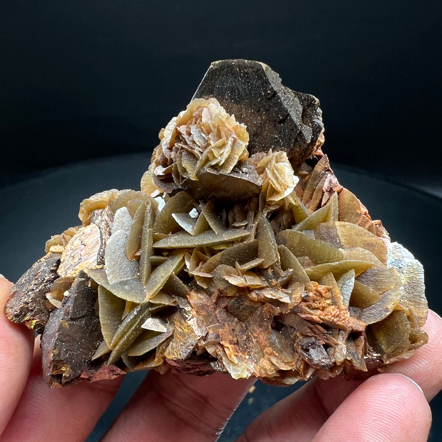 Chalcopyrite + Siderite (Free shipping)