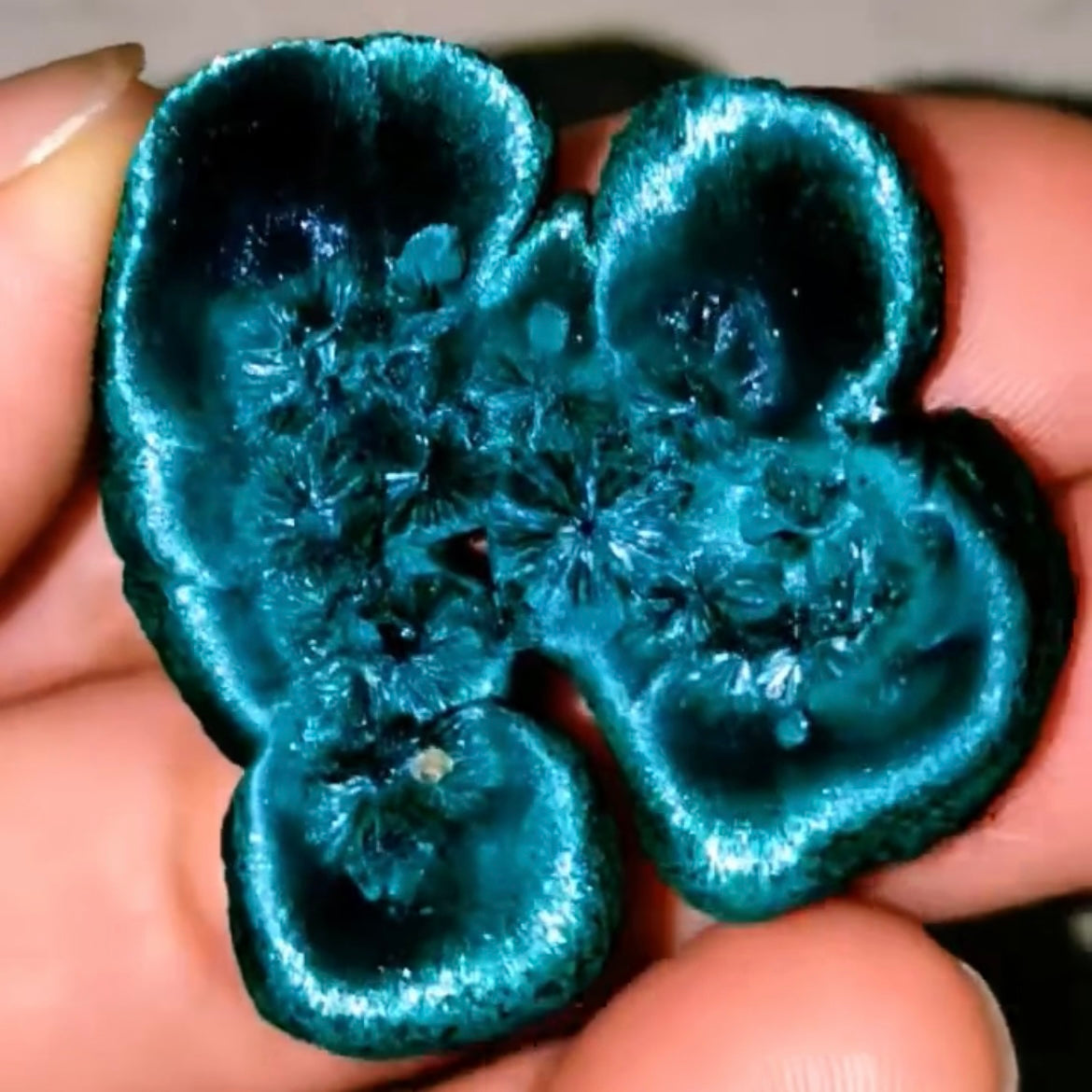 Velvet gloss Malachite (Free shipping worldwide)