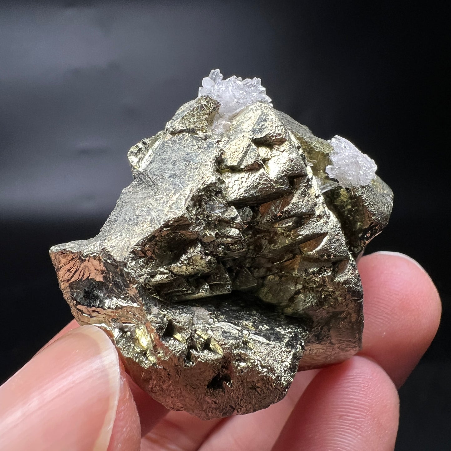 Chalcopyrite + Quartz (Free shipping)