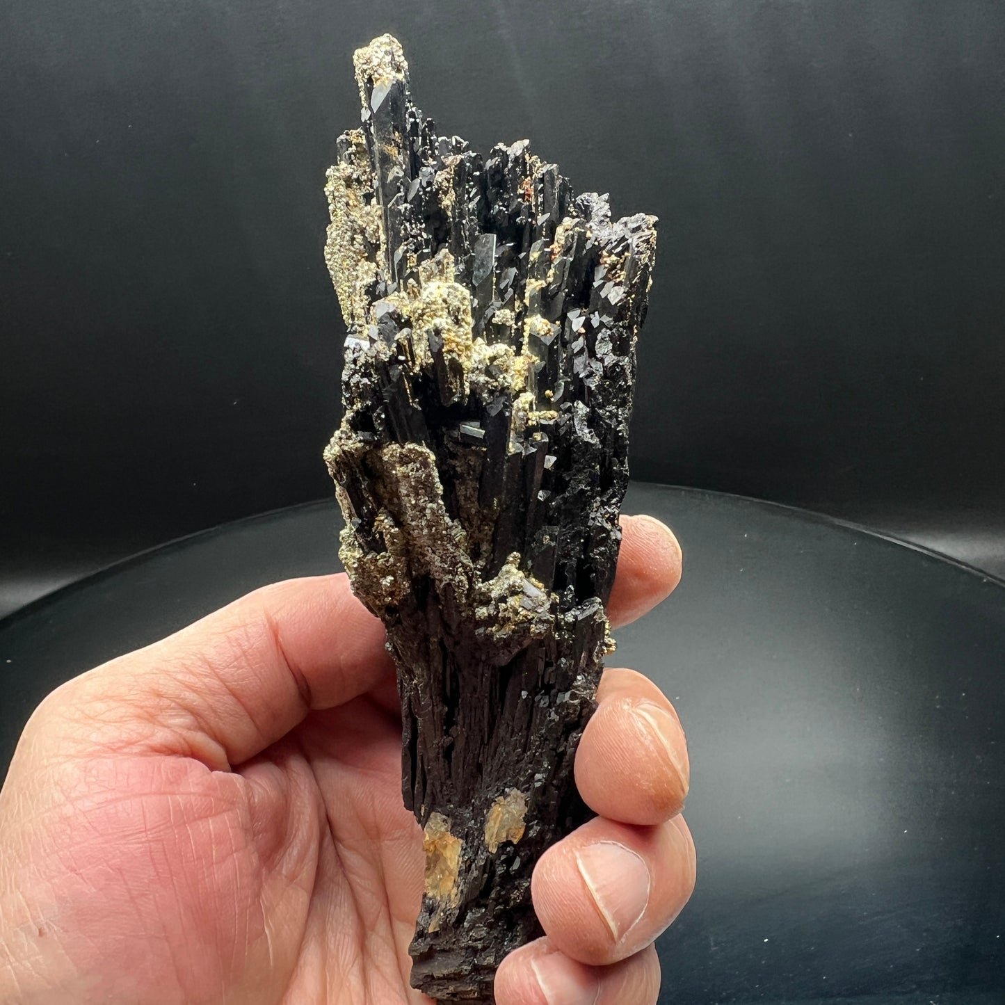 Wolframite + Pyrite (Free shipping)