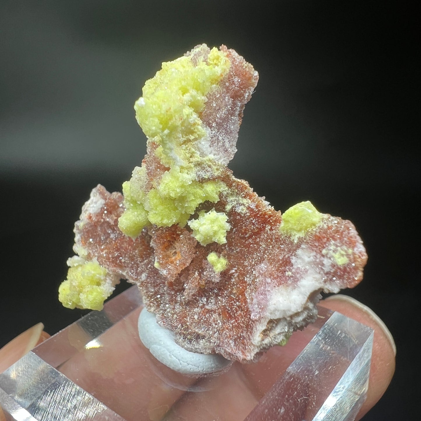 Carlhintzeite + Creedite (Free shipping)