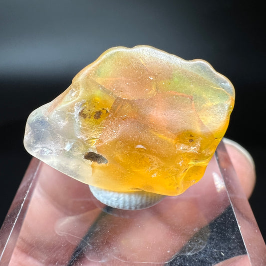 Opal (Free shipping)