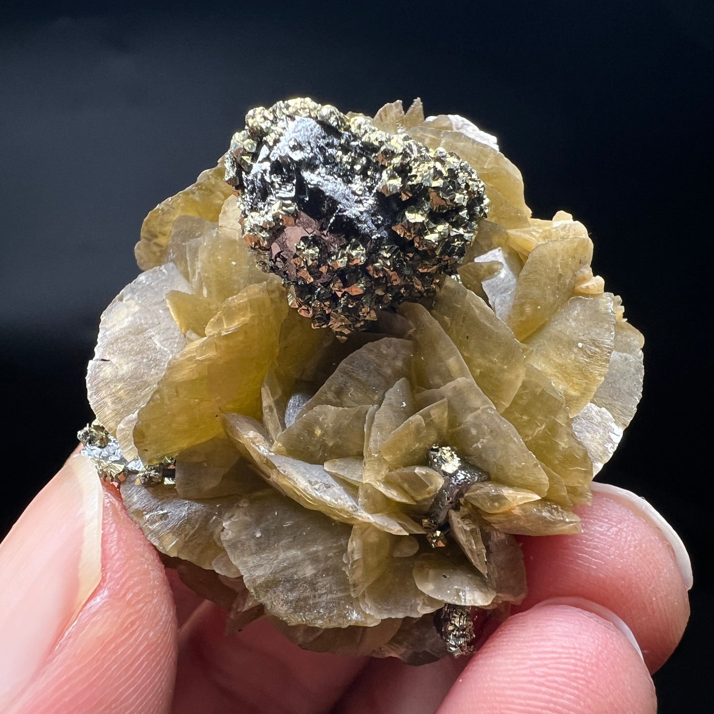 Tetrahedrite + Chalcopyrite + Siderite (Free shipping)