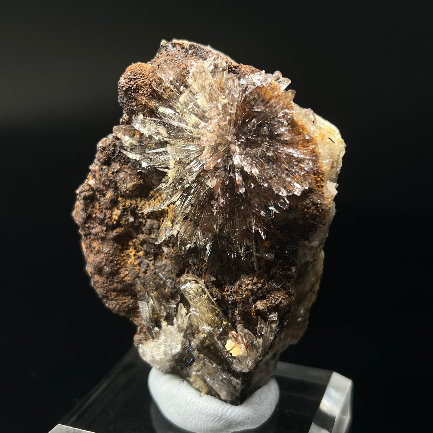 Creedite (Free shipping)