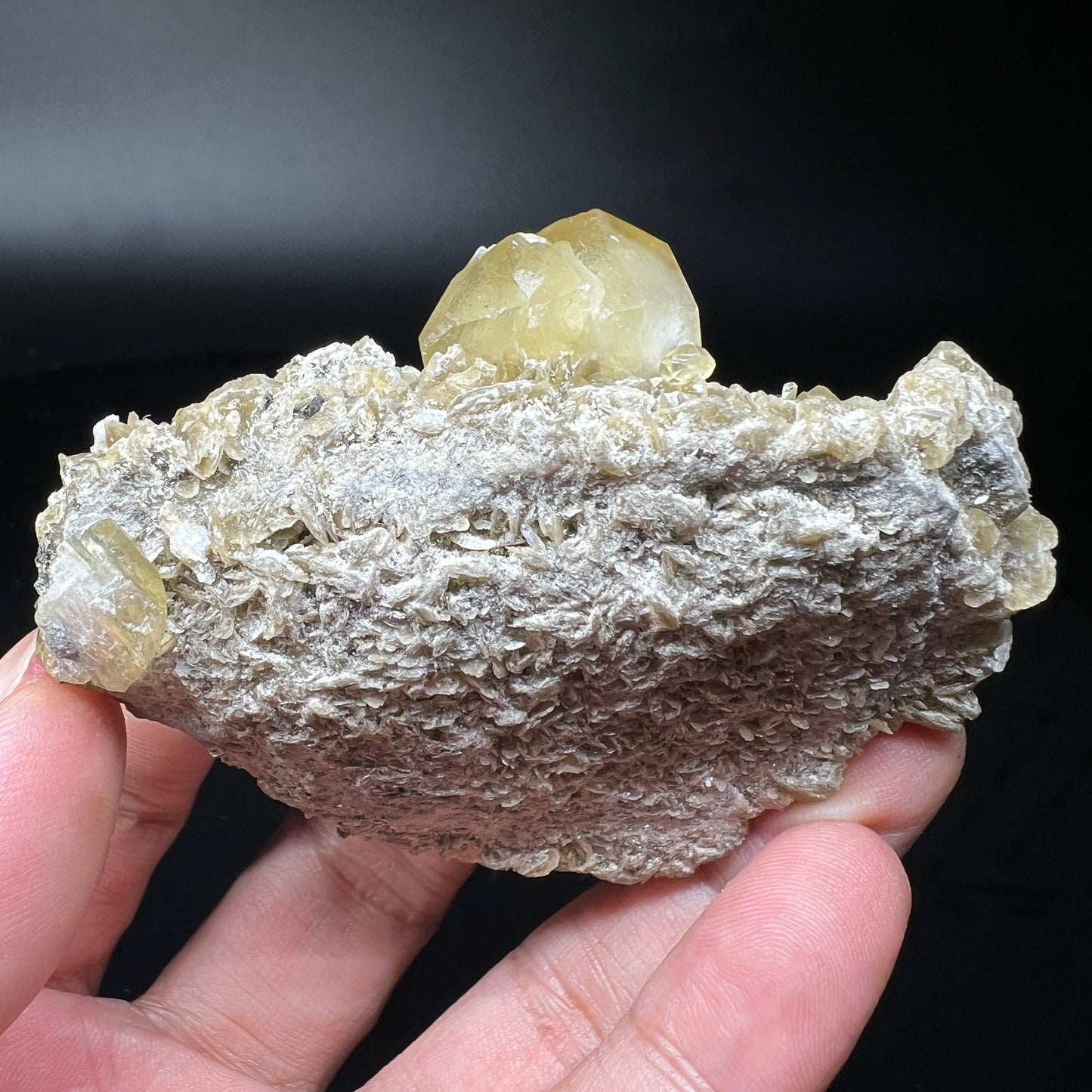 Calcite + Chalcopyrite + Siderite (Free shipping)
