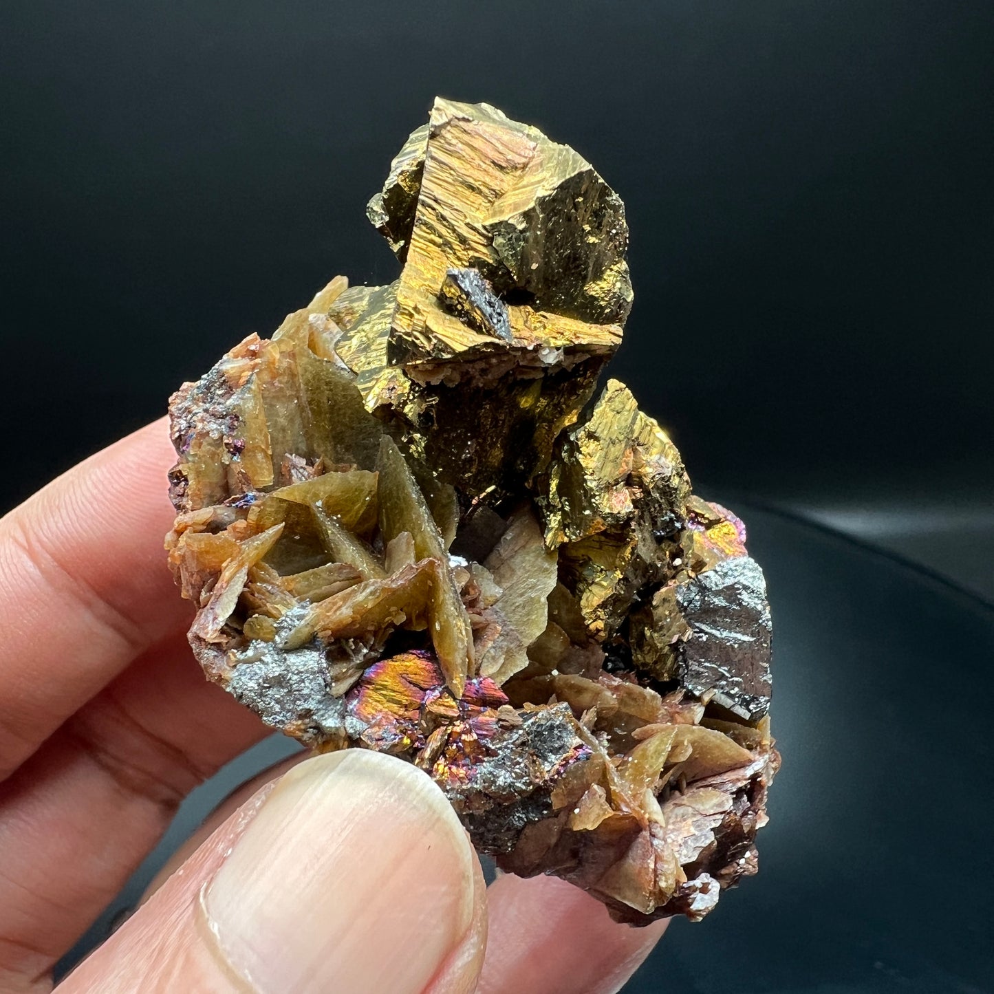 Chalcopyrite + Tetrahedrite + Siderite (Free shipping)