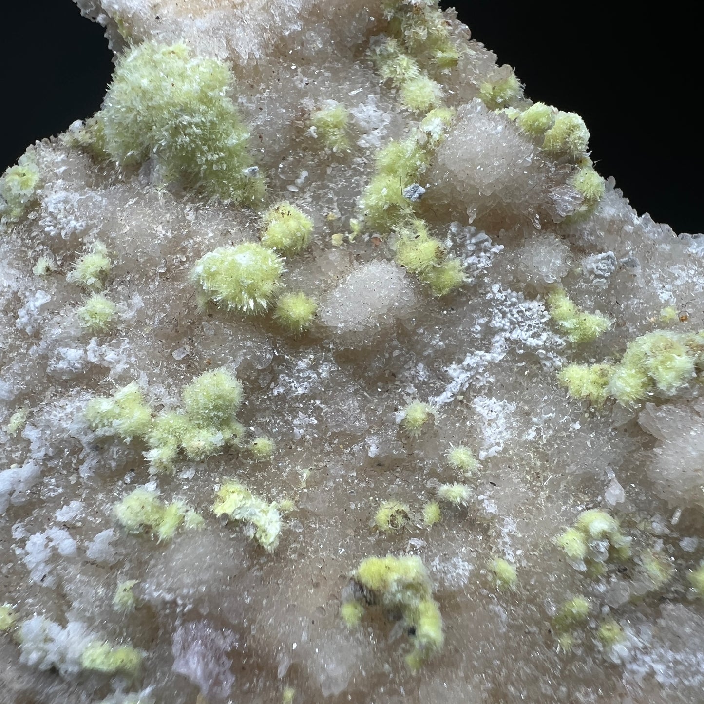Carlhintzeite + Creedite (Free shipping)