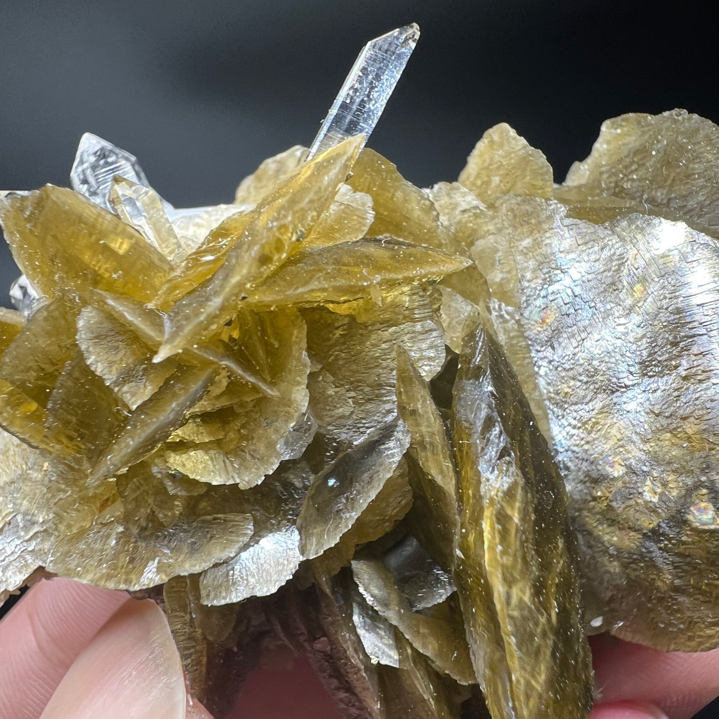 Siderite + Quartz (Free shipping)