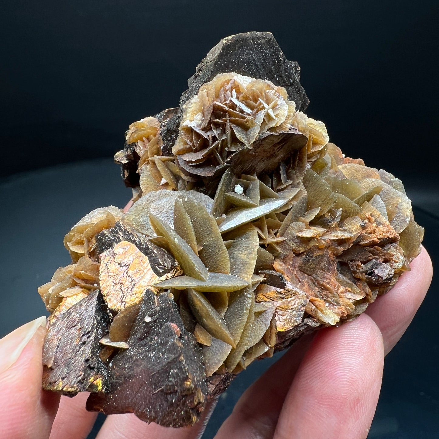 Chalcopyrite + Siderite (Free shipping)