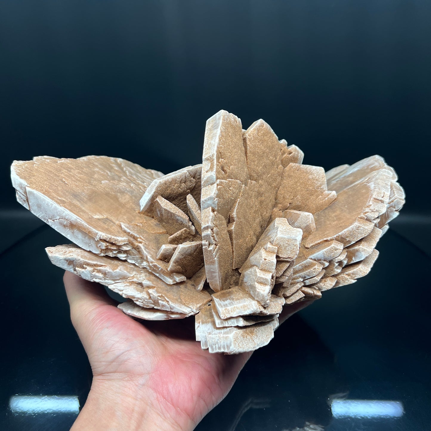 Gypsum (Free shipping)