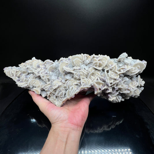 Rare Large crystals Triangular trioctahedron fluorite (Free shipping)