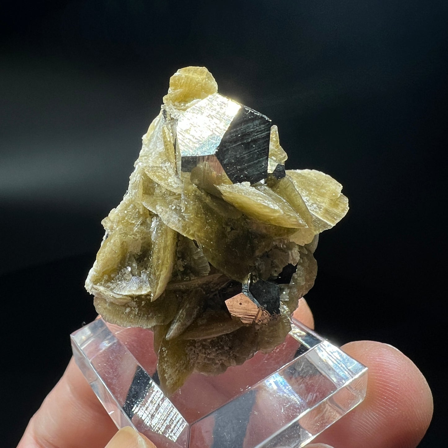 Pyrite + Siderite (Free shipping)