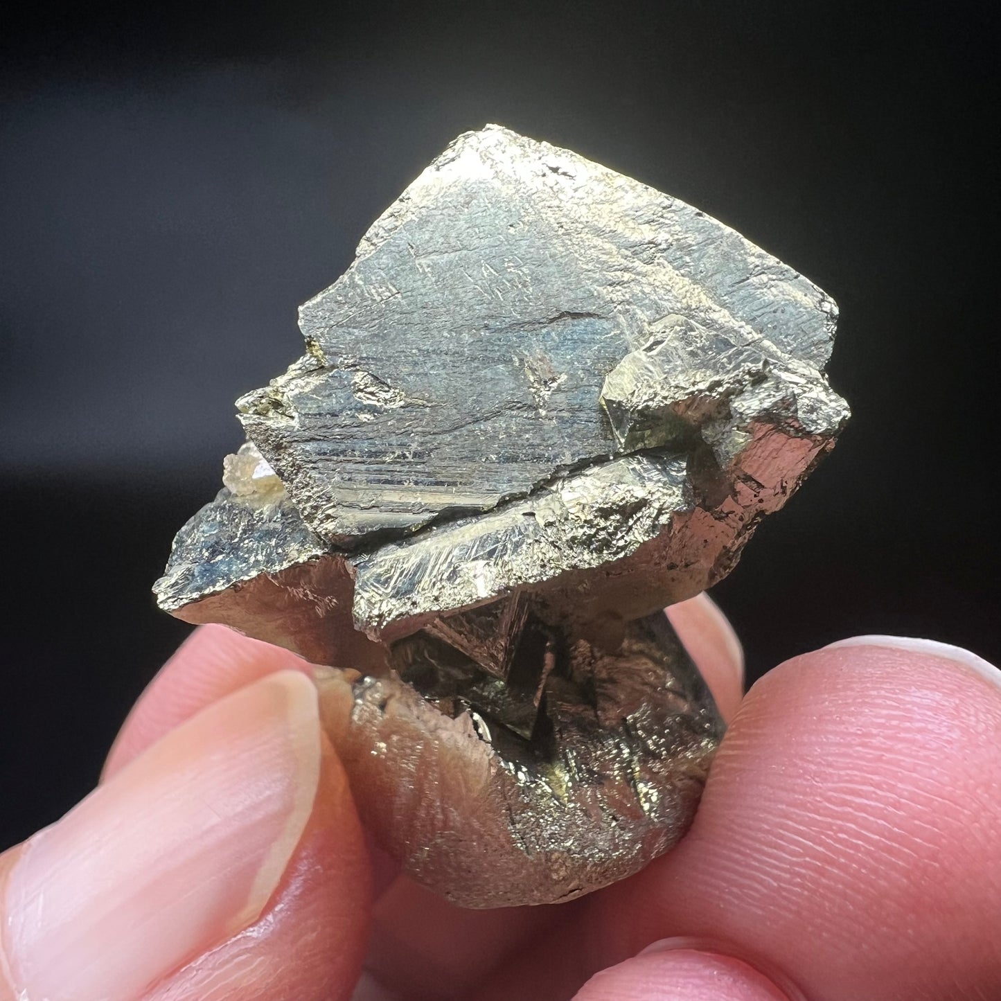 Floater Chalcopyrite + Siderite (Free shipping worldwide)