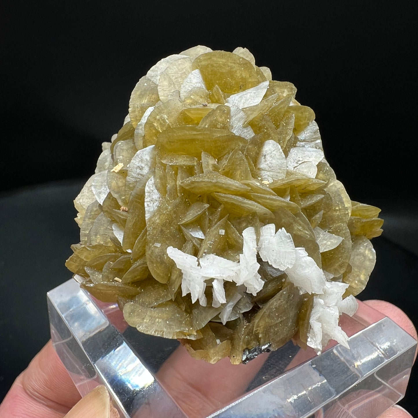 Siderite + Dolomite (Free shipping)