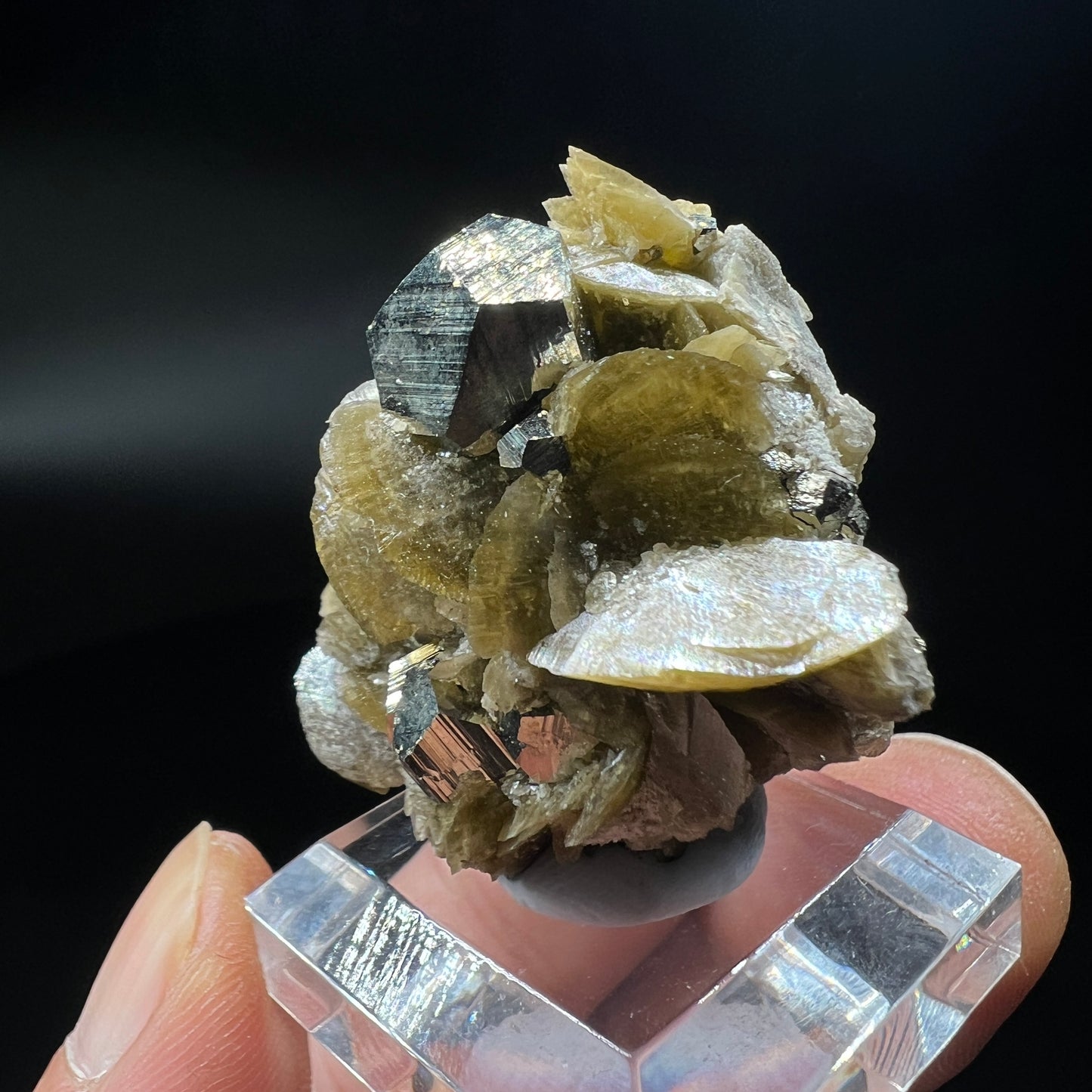 Pyrite + Siderite (Free shipping)