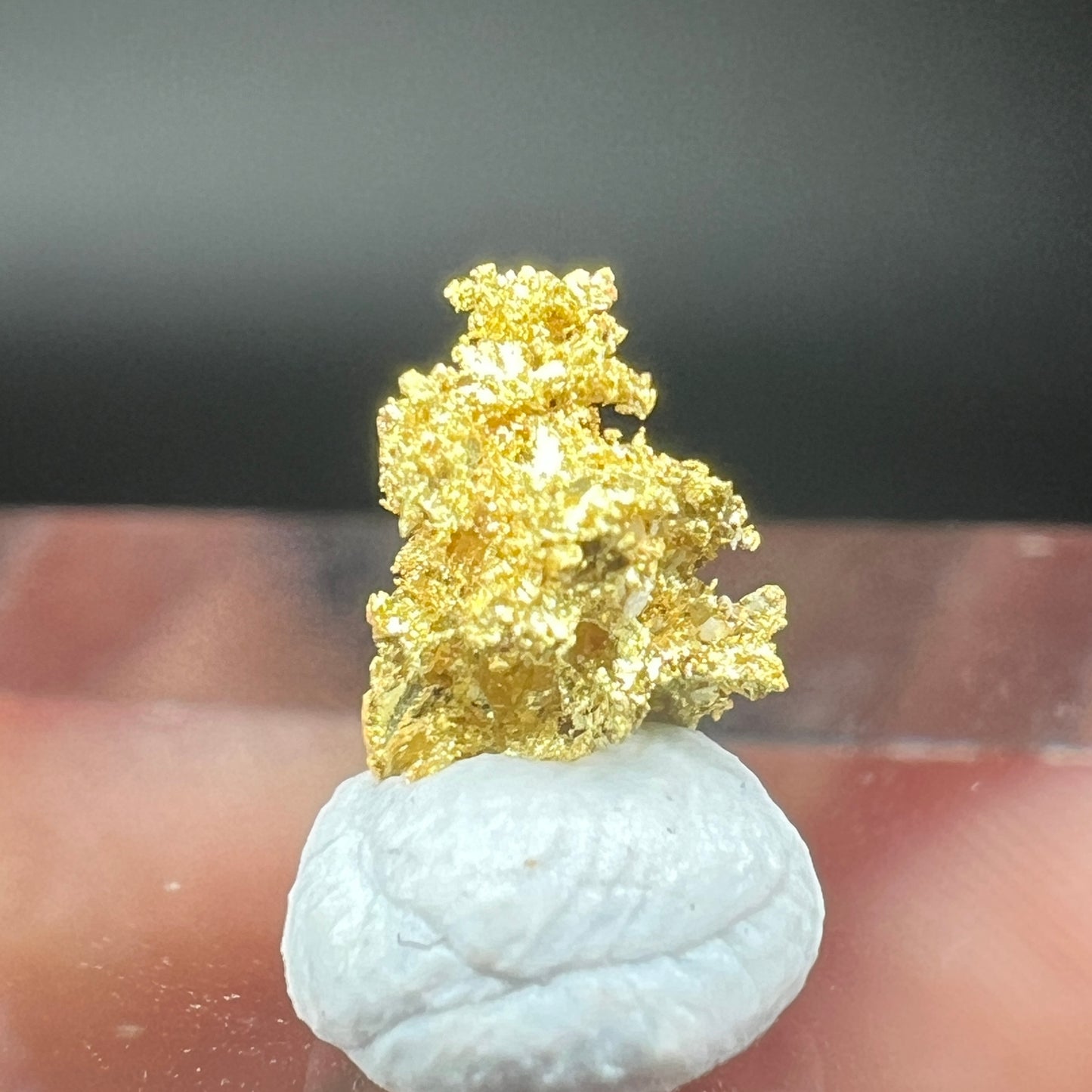Natural gold (Free shipping)