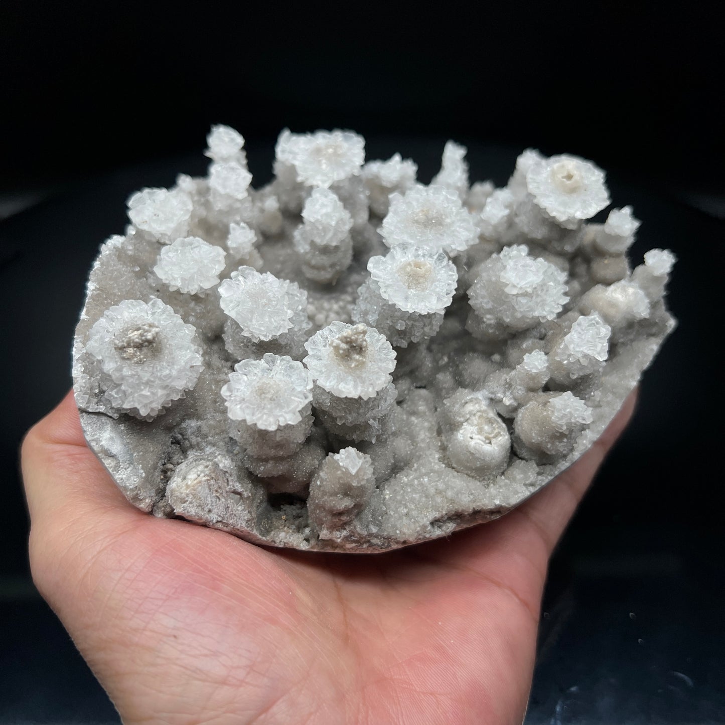 Flowers jungle Calcite (Free shipping)