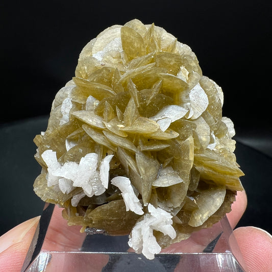 Siderite + Dolomite (Free shipping)
