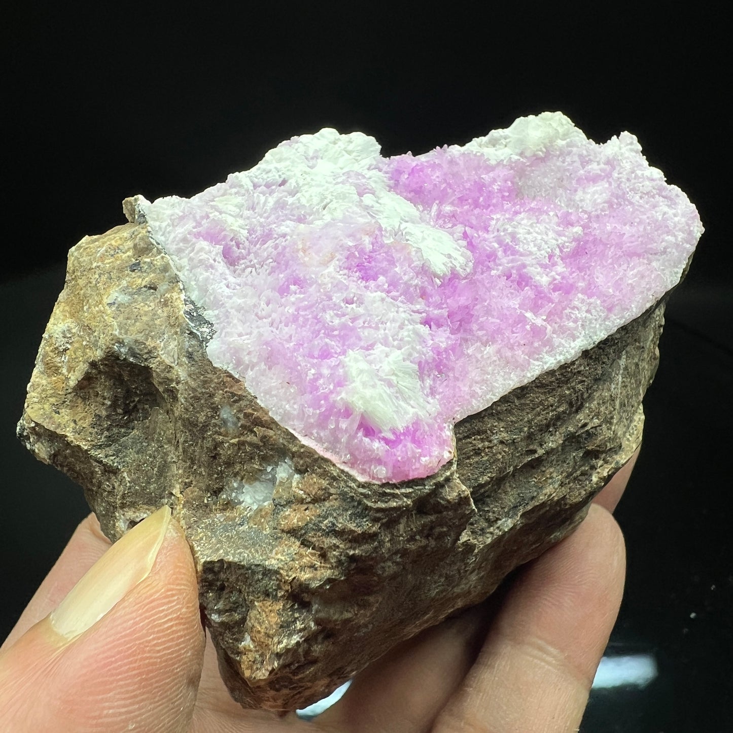 Aragonite (Free shipping)
