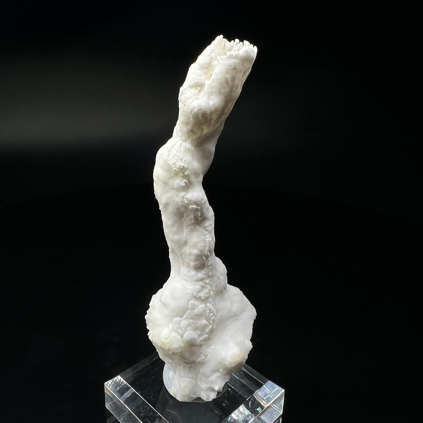 Goblet Aragonite (Free shipping)