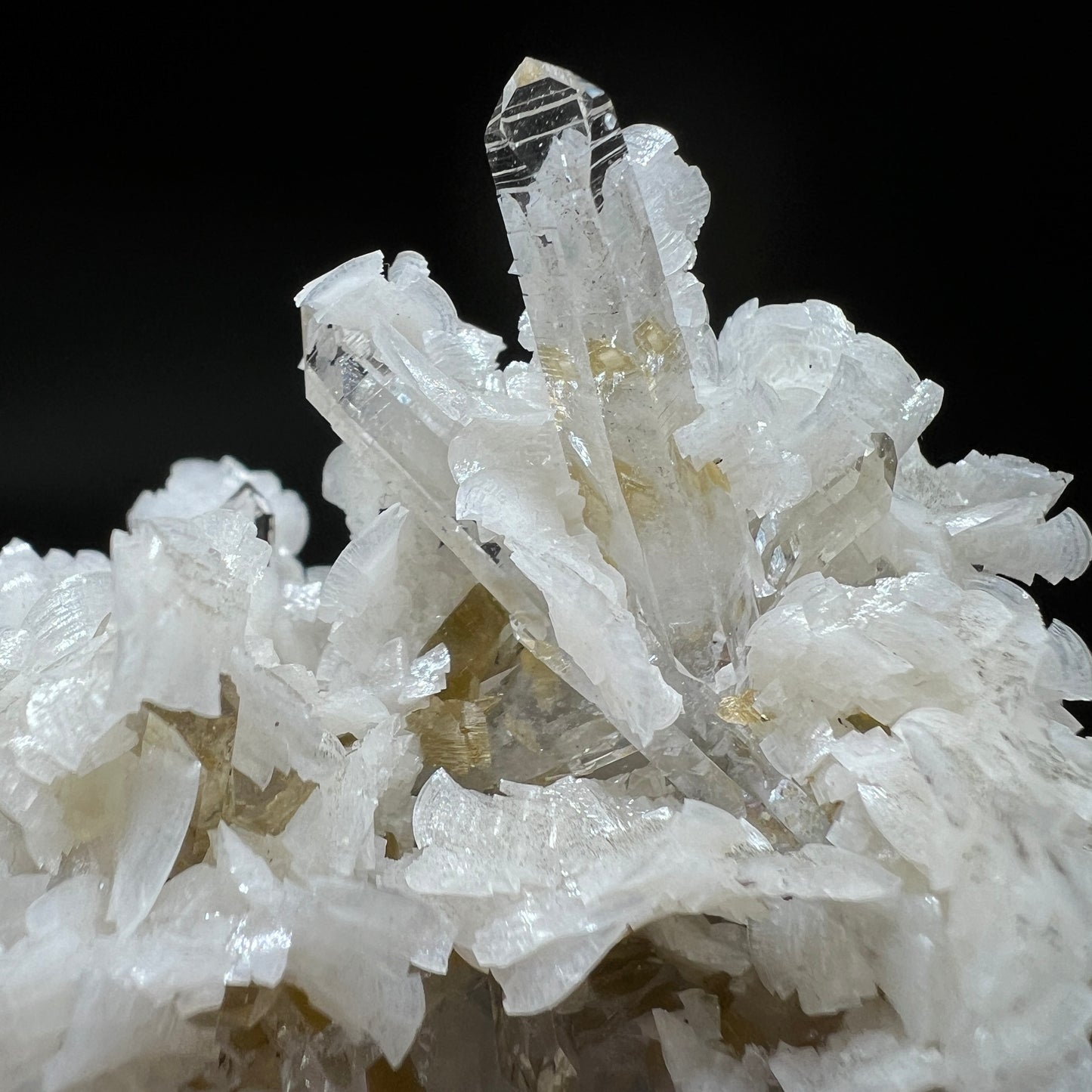 Dolomite + Quartz + Siderite (Free shipping)