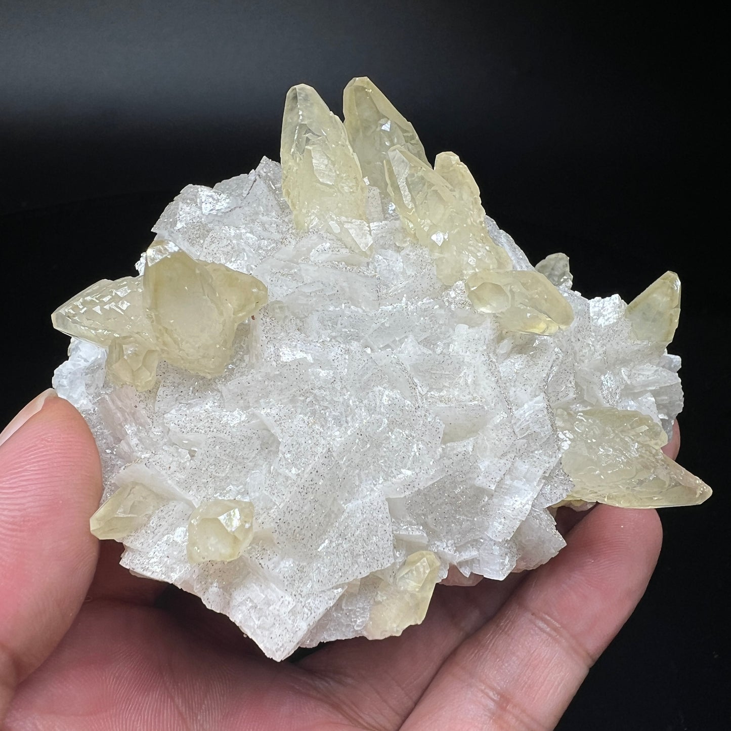 Calcite + Dolomite + Pyrite (Free shipping)