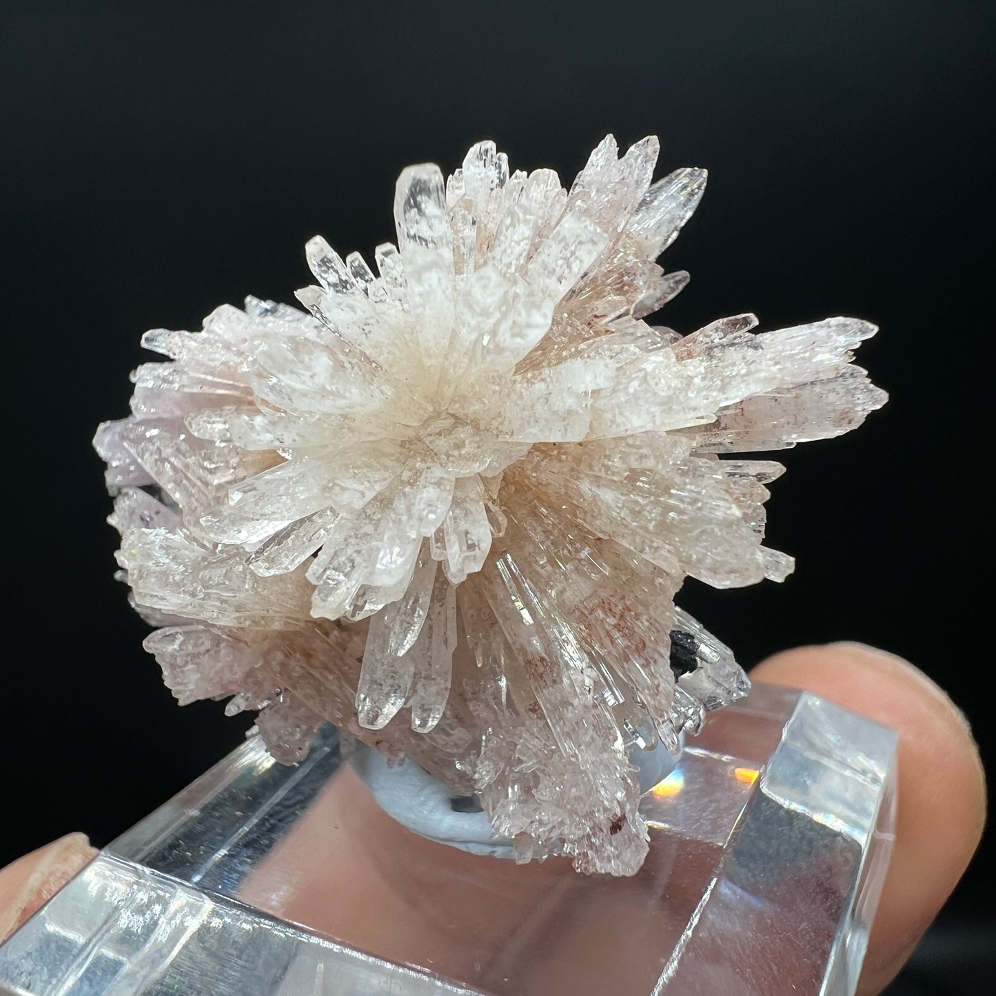 Floater Creedite (Free shipping)