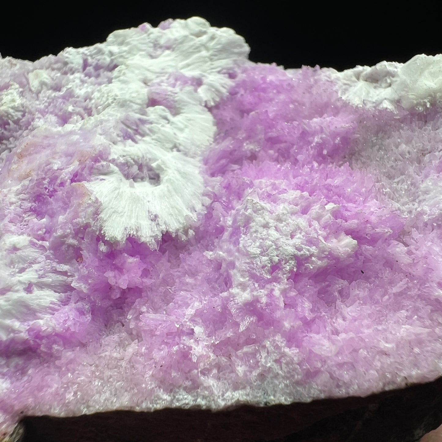 Aragonite (Free shipping)