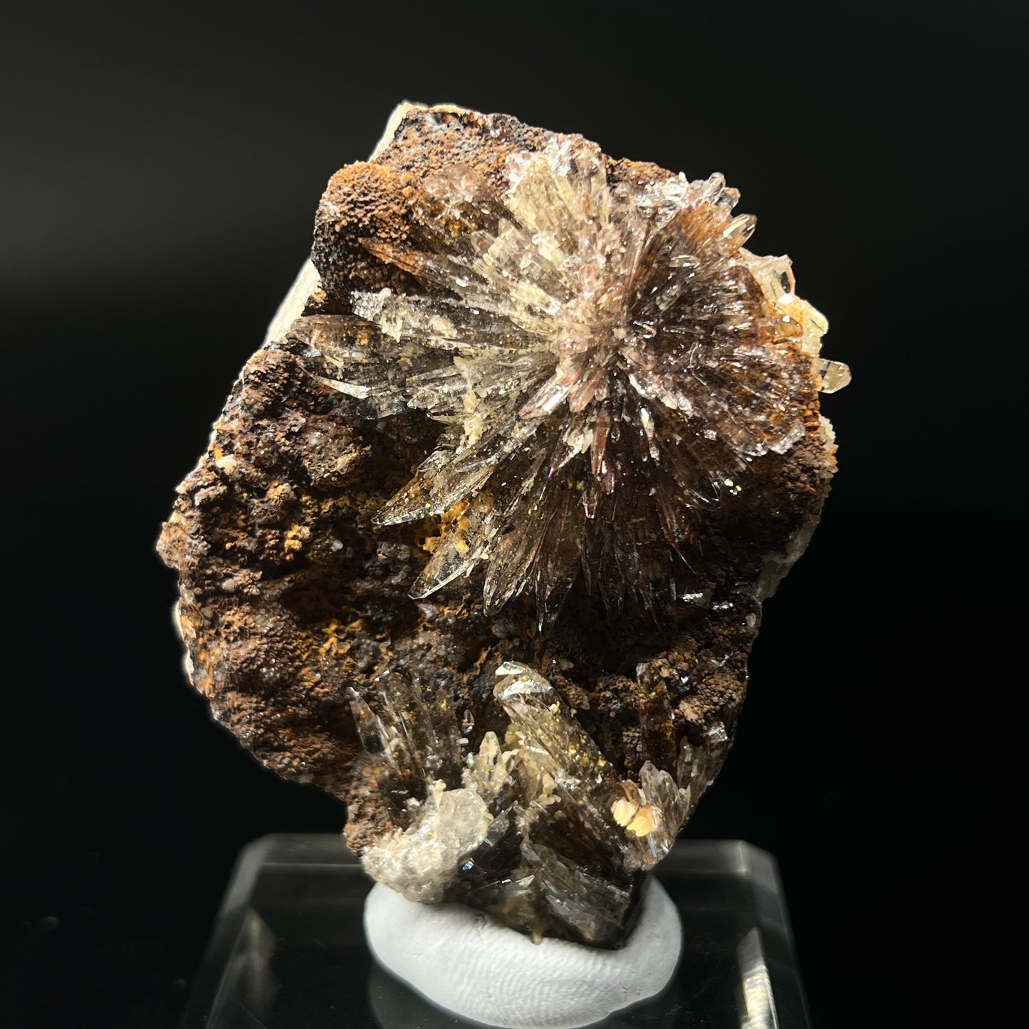 Creedite (Free shipping)