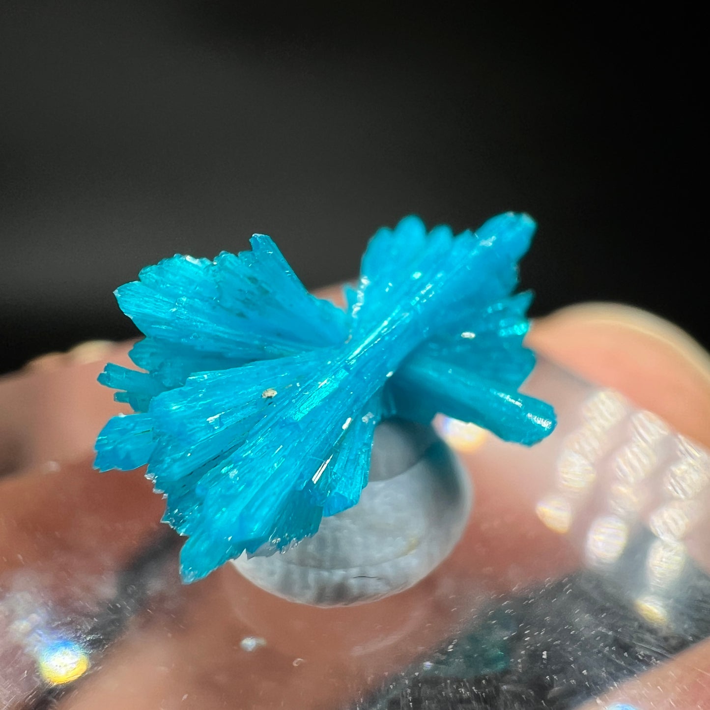 Floaters bow Cavansite (Free shipping)