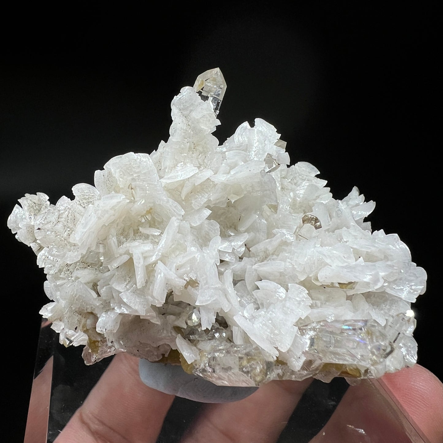 Dolomite + Quartz + Siderite (Free shipping)