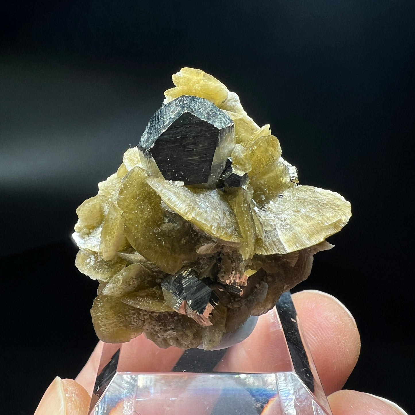 Pyrite + Siderite (Free shipping)