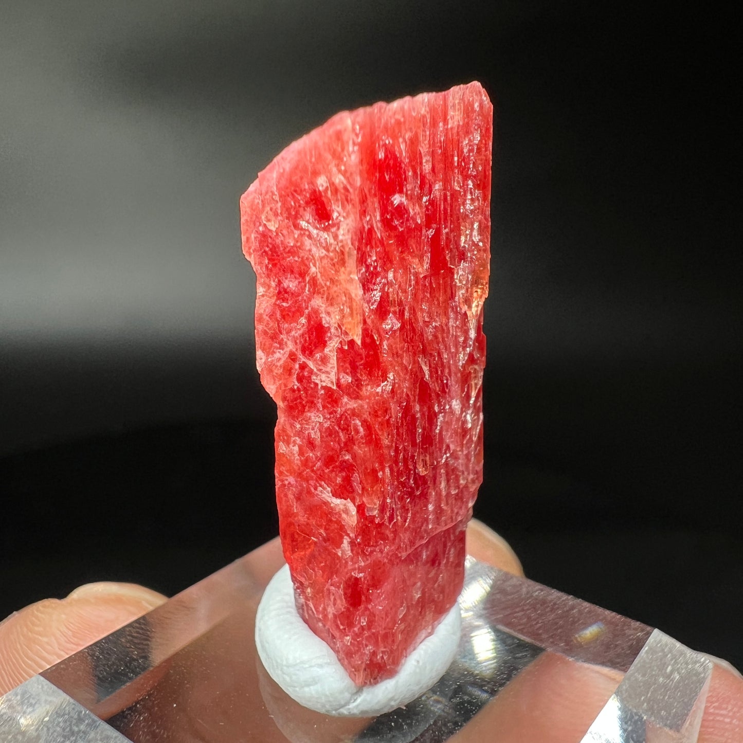 Rhodonite (Free shipping)