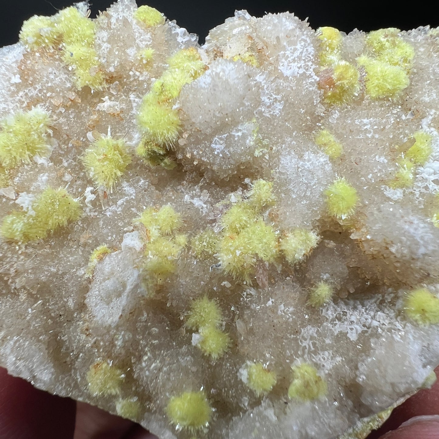 Carlhintzeite + Creedite (Free shipping)