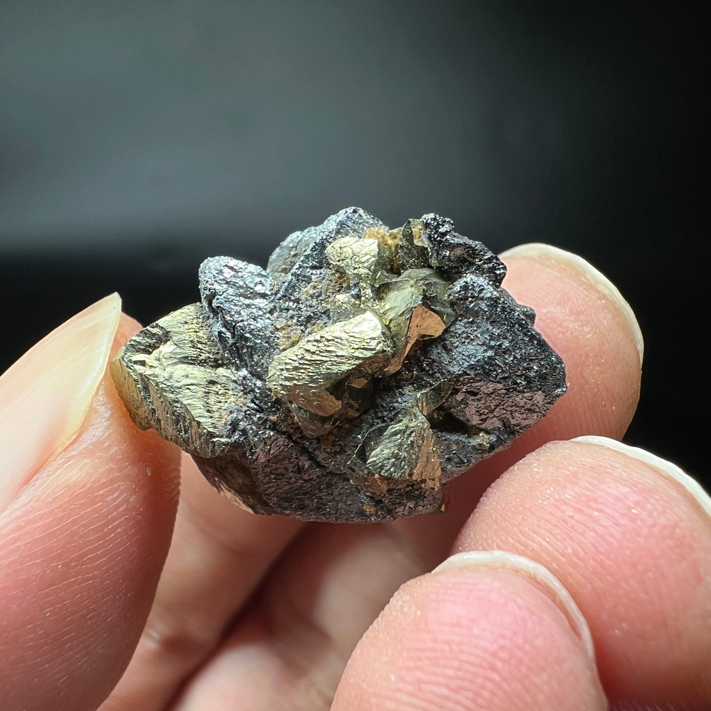 Floater Tetrahedrite + Chalcopyrite (Free shipping)