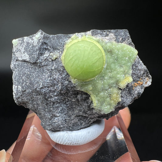 Wavellite (Free shipping)