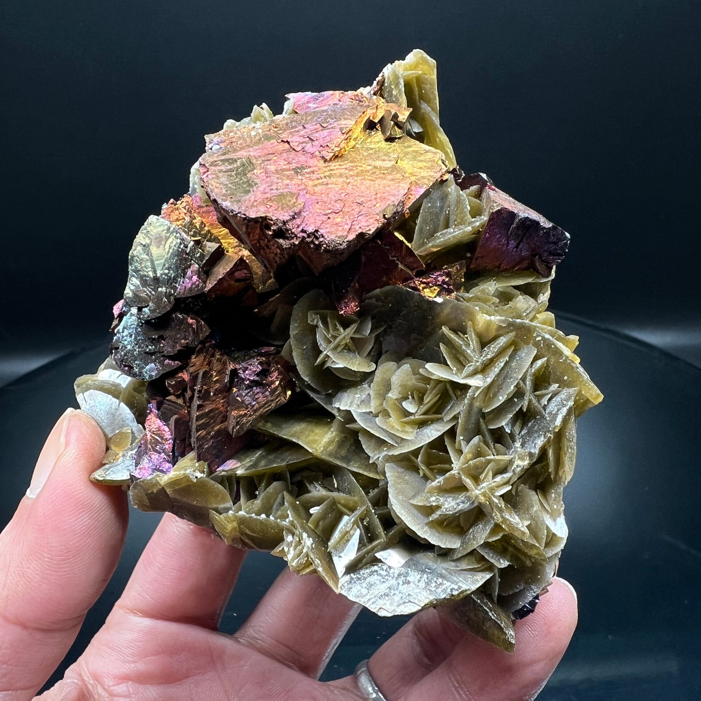 Chalcopyrite + Siderite (Free shipping)