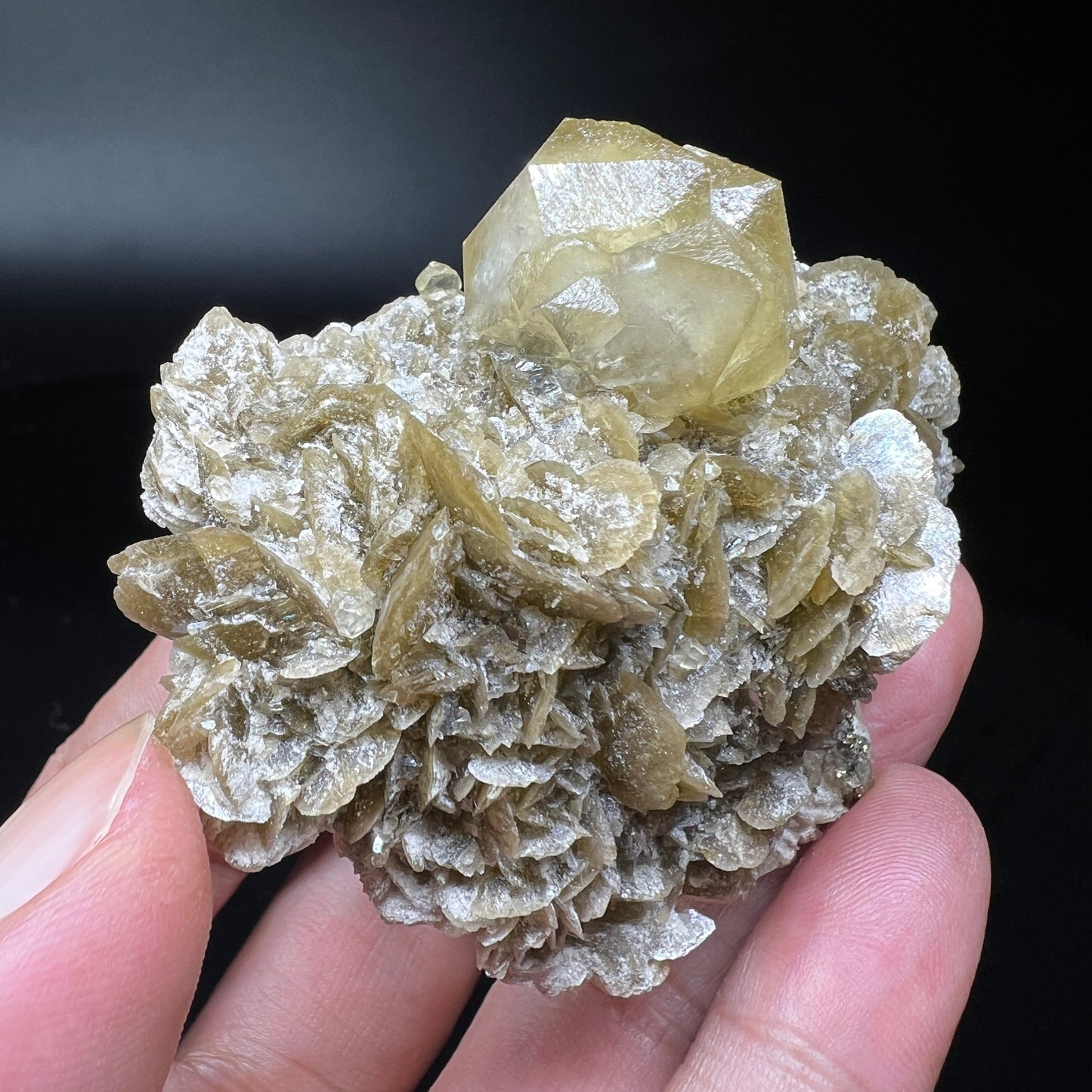 Calcite + Chalcopyrite + Siderite (Free shipping)