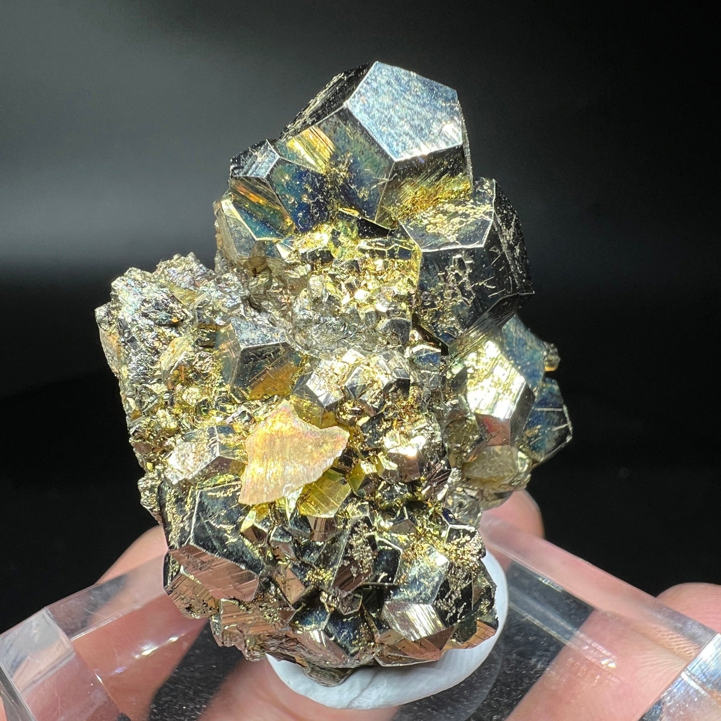 Pyrite + Siderite (Free shipping)