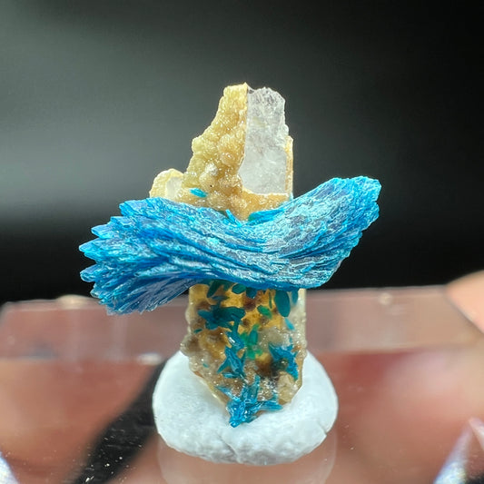 Bows Veszelyite (Free shipping)