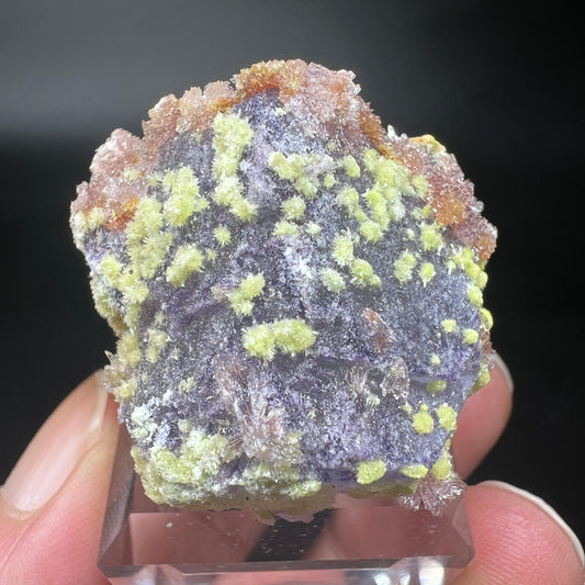 Carlhintzeite + Creedite (Free shipping)