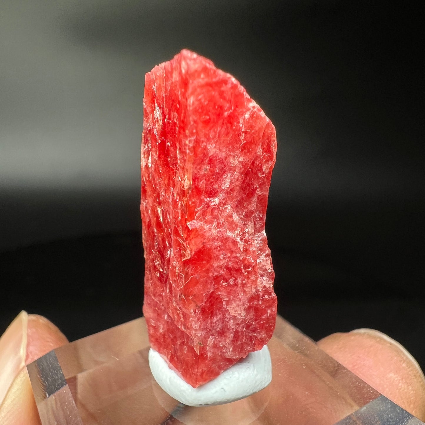 Rhodonite (Free shipping)