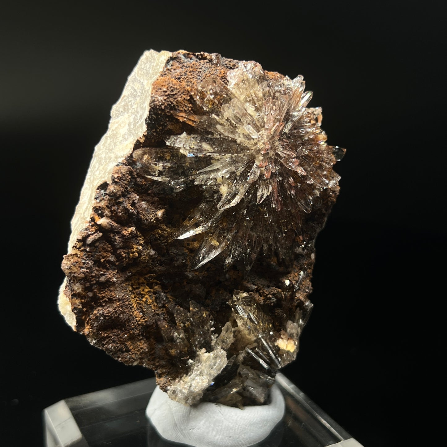 Creedite (Free shipping)