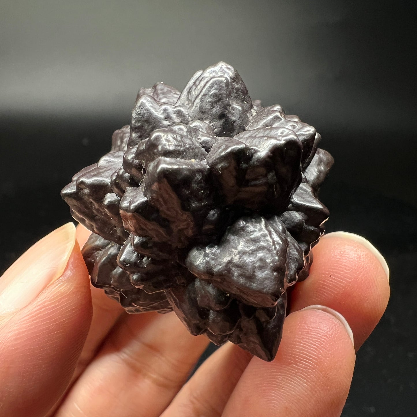 Limonite Flower bulbs (Free shipping)