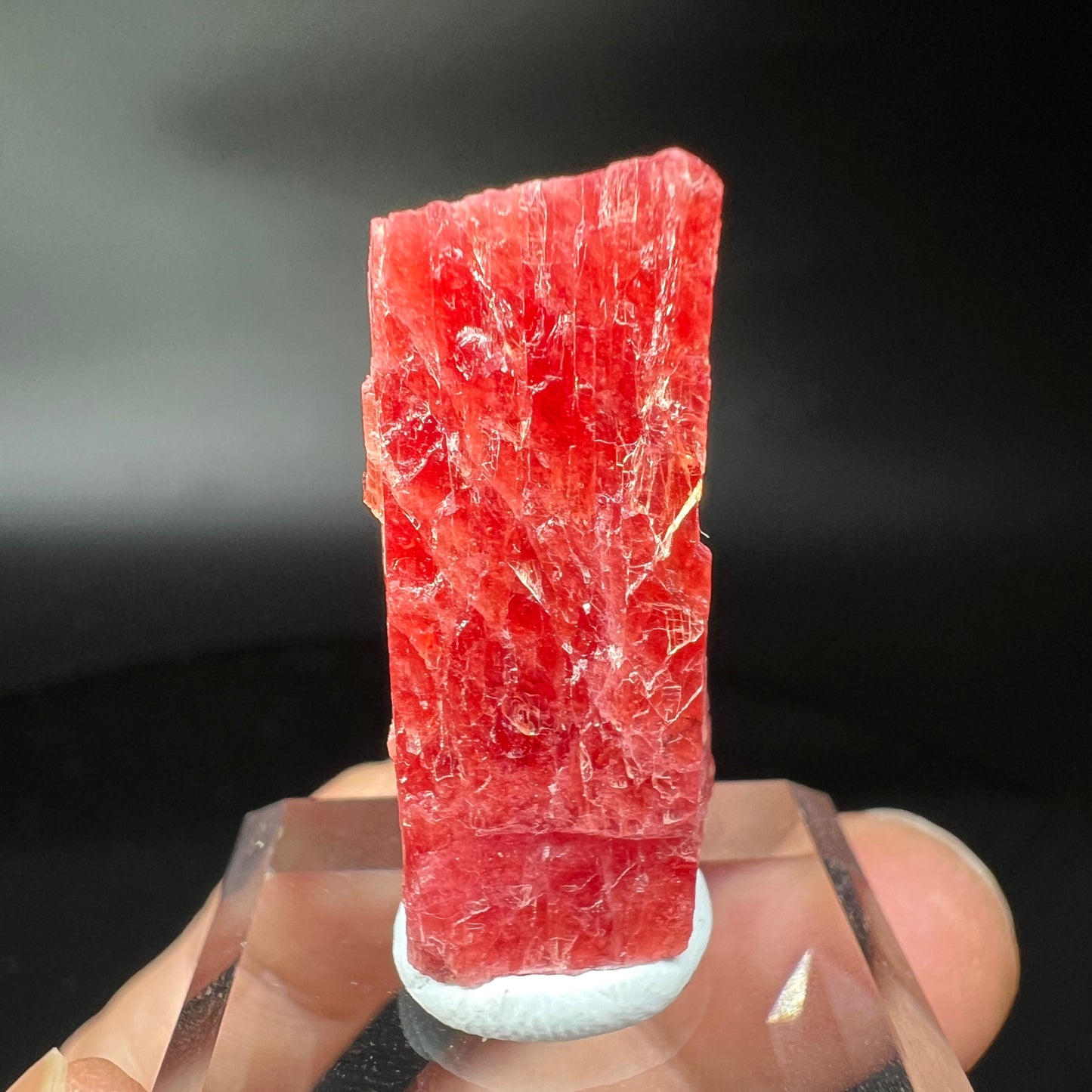 Rhodonite (Free shipping)
