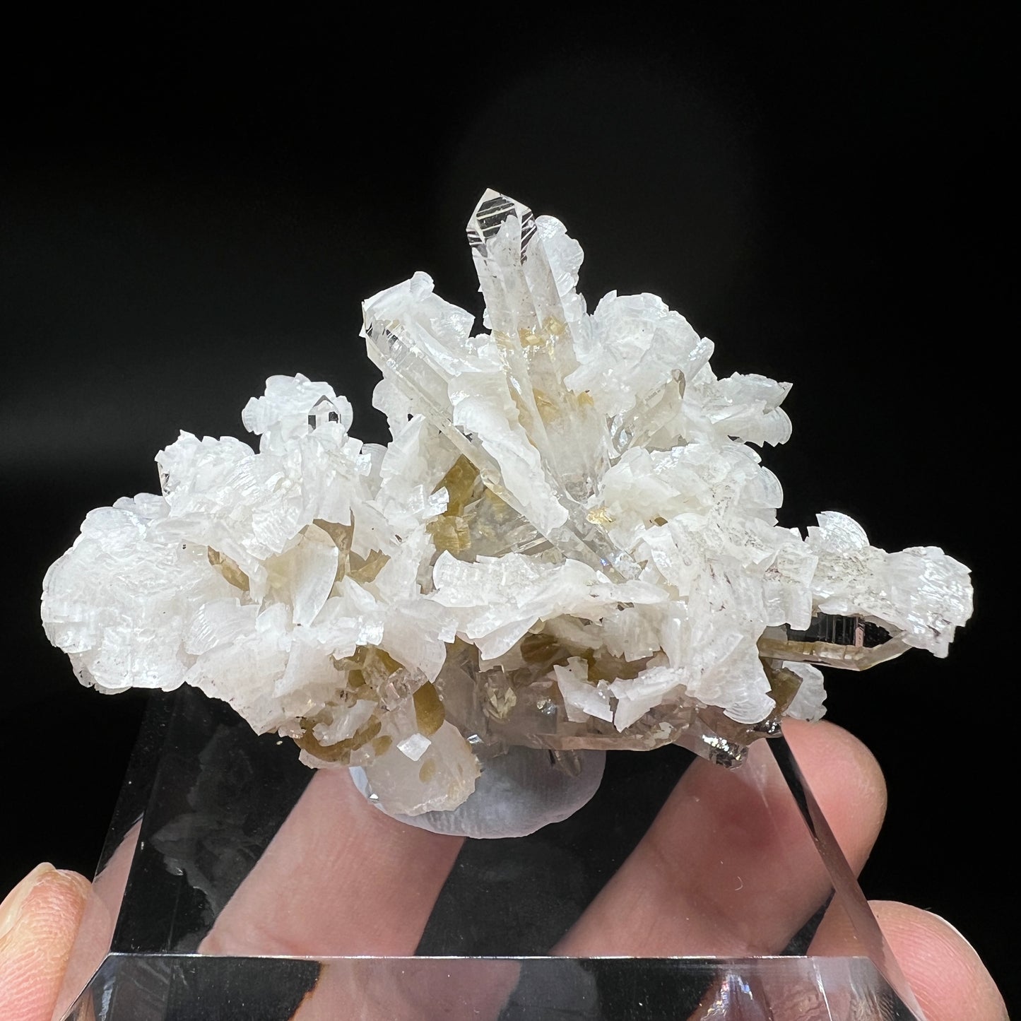 Dolomite + Quartz + Siderite (Free shipping)